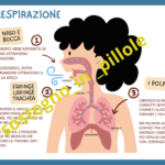 Scheda di letturaDigitale