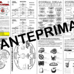 SCIENZE: I MATERIALI (SOLIDI, LIQUIDI, GAS E POLVERI) – CLASSE PRIMA E/O SECONDA – SCUOLA PRIMARIADigitale