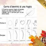 LE VOCALI – 5 LIBRETTI DI ARRICCHIMENTO LESSICALE – 5 VIDEO GRATUITIDigitale