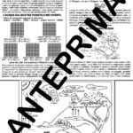 Tra natura e matematica; 11 carte per conoscere le renne con due opzioni per la didattica a stazioni(matematica/italiano) cl: III/VDigitale