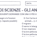 IL PRONOME – Parte 6 – PRONOMI RELATIVIDigitale