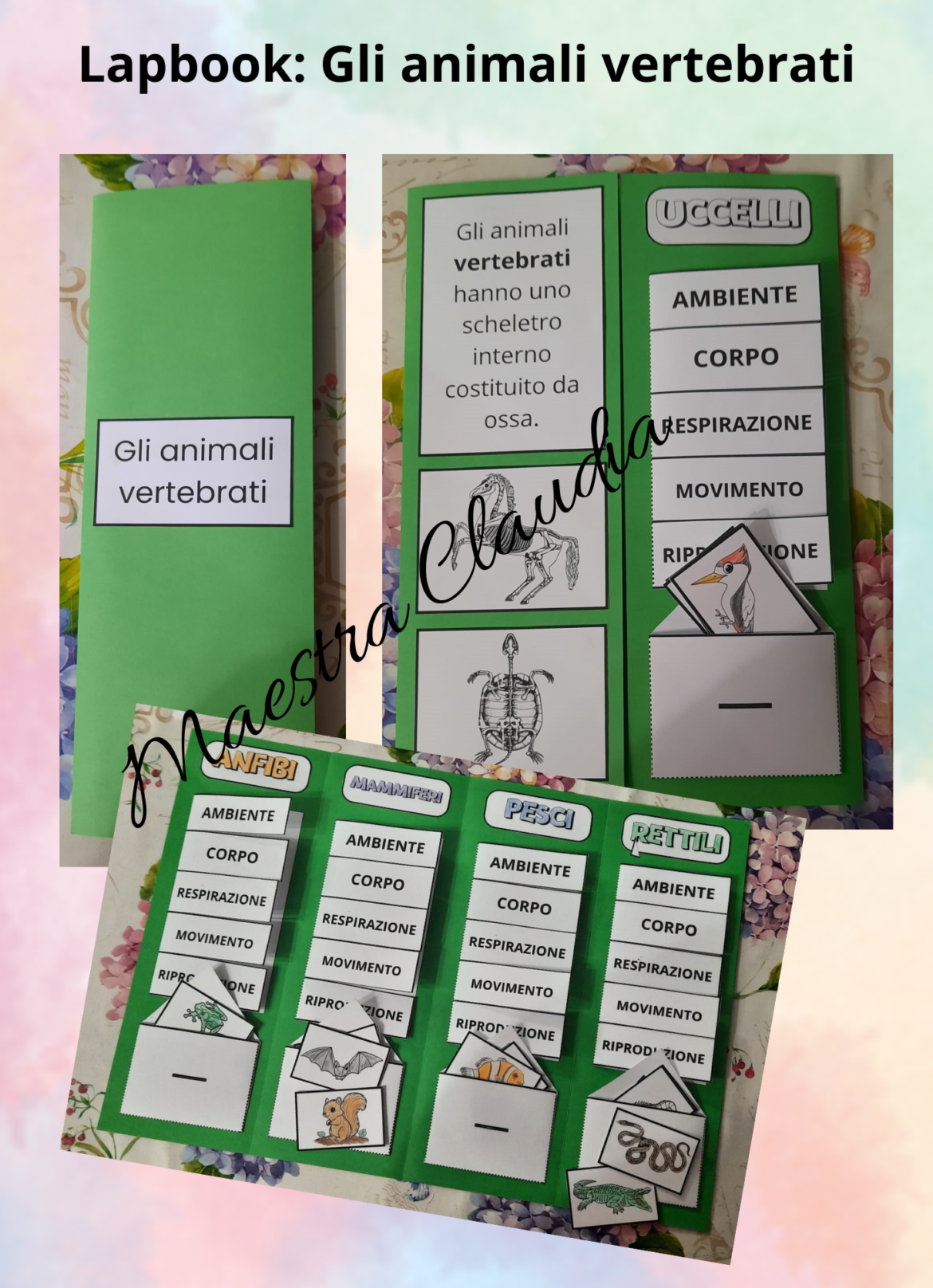 Immagini di come si presenta il lapbook completato