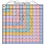 Frazioni e scorrere o del tempoDigitale