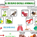 Colora gli accentiDigitale