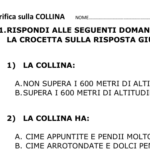 “MAX MOLTIPLICATORE” dall’addizione ripetuta alla moltiplicazione.Digitale