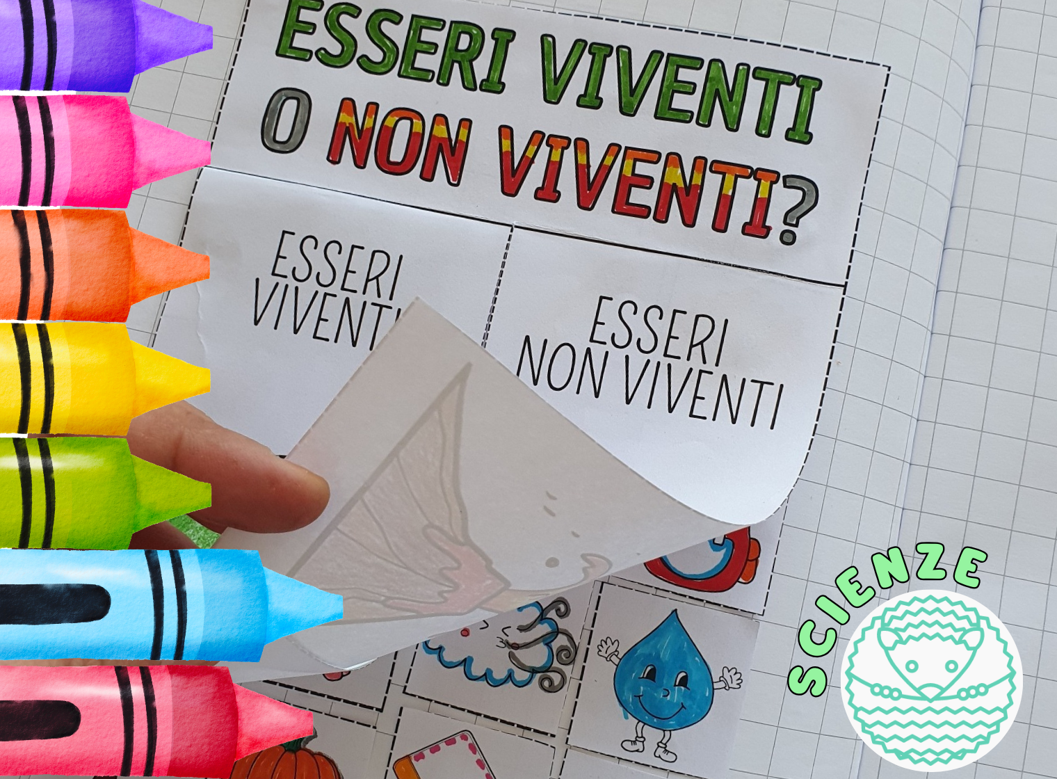 gli esseri viventi scuola primaria