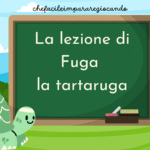 Costrusci il guscio di una tartarugaDigitale