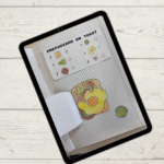 GIOCO PIZZA NUMERO-QUANTITA’Digitale