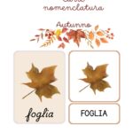 Domino | Sottrazioni fino a 20 | Attività MatematicaDigitale