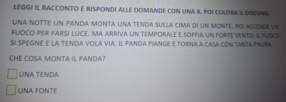 Lettura e comprensione del testo
