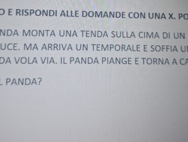 Lettura e comprensione del testo