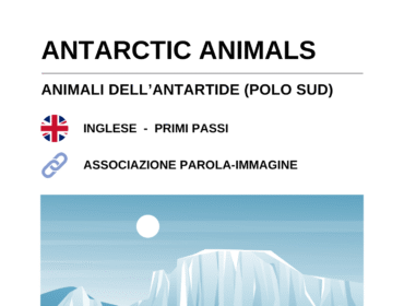 Schede didattiche di inglese sugli animali del Polo Sud