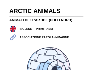 Schede didattiche di inglese sugli animali del polo nord