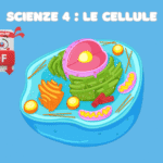 Verifica geografia concetti topologici con CAADigitale