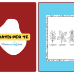 Schede didattiche numeri fino a 999Digitale