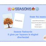 CARTE DOPPIE Sì O DOPPIE NODigitale