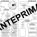 Luna e l’Abaco MagicoDigitale