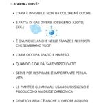 Le famiglie di numeriDigitale