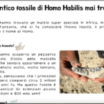 Lettura e comprensione: il panda MeiDigitale