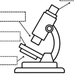 LA MATEMATICA DEI SUMERI – Schede di matematica e geometria –Digitale