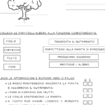 Ripasso di vari indicatori topologici per la classe prima (davanti/dietro, dentro/fuori, sotto/sopra, aperto/chiuso, vicino/lontano)Digitale