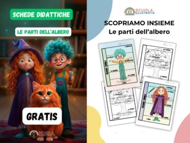 schede didattiche le parti dell'albero parti corpo umano