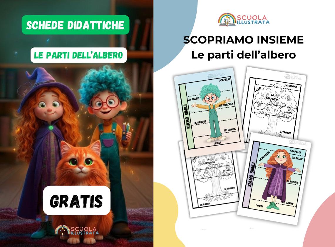 schede didattiche le parti dell'albero parti corpo umano