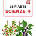Natale matematico: problemi, logica e sudoku; per le attività in classe o per i compiti delle vacanze- classi IV/VDigitale