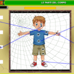 “Trova il vermetto”- Gioco interattivo on-lain, sulle tabelline del 4.Digitale