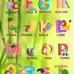 calzini spaiati storia e attivitàDigitale