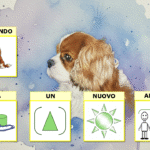 VERIFICA SEMPLIFICATA APPARATO CARDIOCIRCOLATORIODigitale