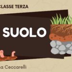 Esploratori della Terra: habitat e animali Percorso di geografia concreta per le classi 2-3 in tre UDADigitale