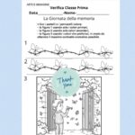 Le cause della Prima Guerra Mondiale.Digitale