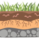 schema effetto serraDigitale
