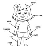 RUOTA DEI VERBI A COLORI E BIANCO E NERO DA STAMPAREDigitale