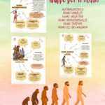 La Befana in Moto: Storia e Attività di ComprensioneDigitale