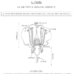 IL GIOCO DEL CAMBIODigitale