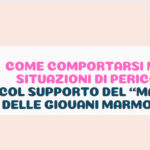 La formica e il seme del ricordoDigitale