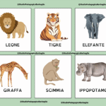 Schede lessicali – I vestitiDigitale