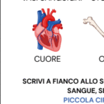 CAA- Armando ha un nuovo amico – Piccole storie BreviDigitale