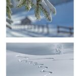 La Magica Storia della Befana: Lettura + Comprensione, Matematica e IngleseDigitale