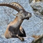 LA PROPRIETA’ ASSOCIATIVA DELLA MOLTIPLICAZIONEDigitale