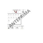 SPAGNOLO: I TEMPI DEL PASSATODigitale