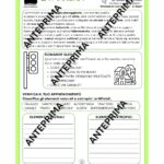 Tabellina del 4 _ Il mio quaderno delle tabellineDigitale