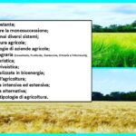 Pensa fuori dagli schemi. Attività grafica per stimolare la fantasia!Digitale