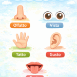 Scheda difatti sui 5 sensiDigitale