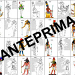 MILLE MODI PER MOLTIPLICAREDigitale