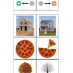 Attività interdisciplinari : “La balena della tempesta”Digitale