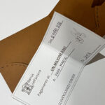 Festa della donna: In viaggio con le grandi sognatriciDigitale