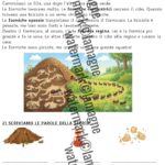 Pillole di Primavera – Curiosità dal mondo per la scuola primariaDigitale